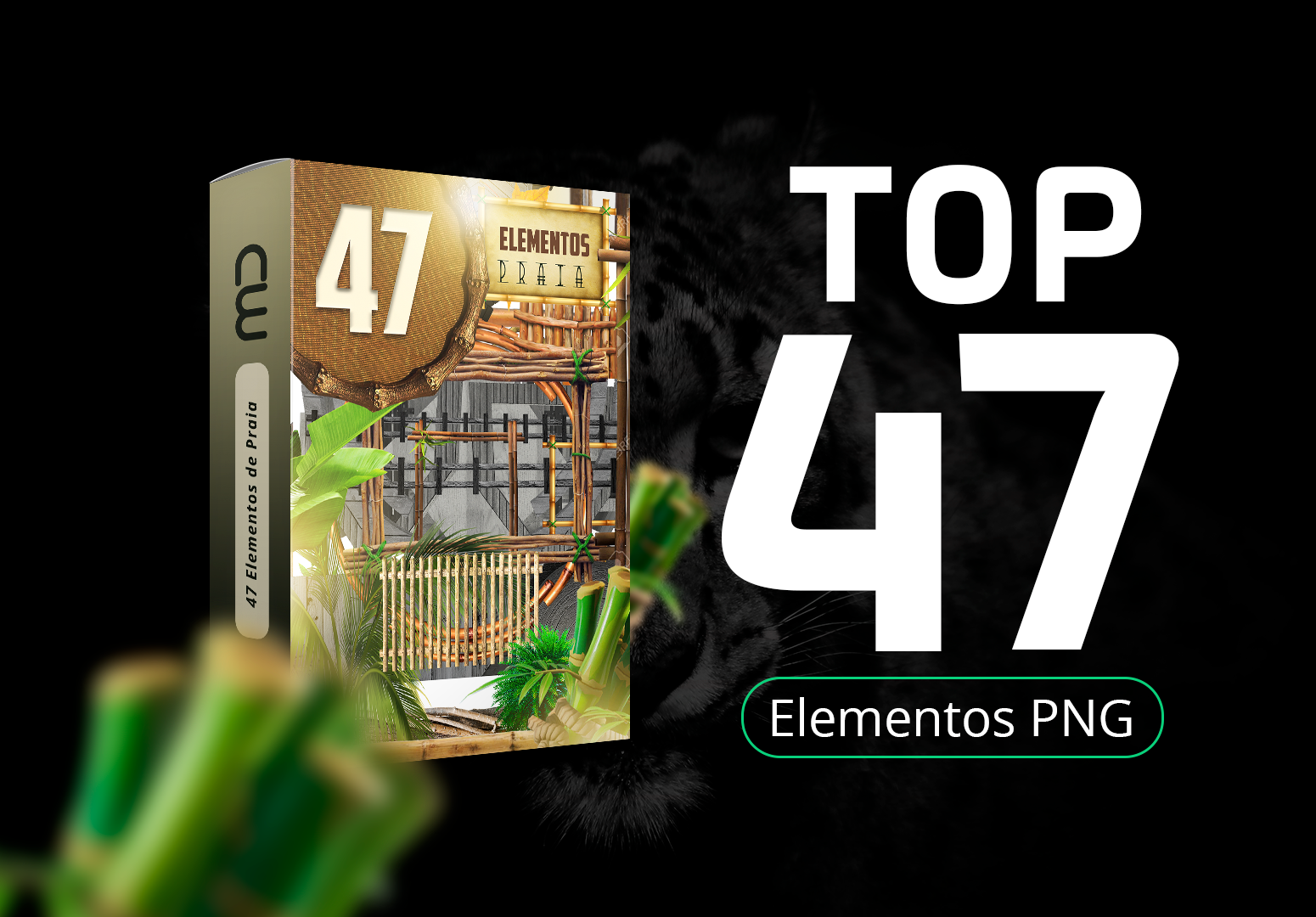 PNG Elementos de Praia / Summer / Sunset - Pack para Flyrs de Eventos