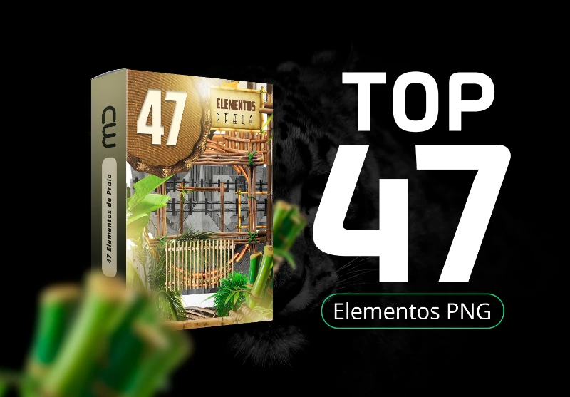 PNG Elementos de Praia / Summer / Sunset - Pack para Flyrs de Eventos